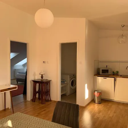 Apartment Palace District Newly Built Duplex